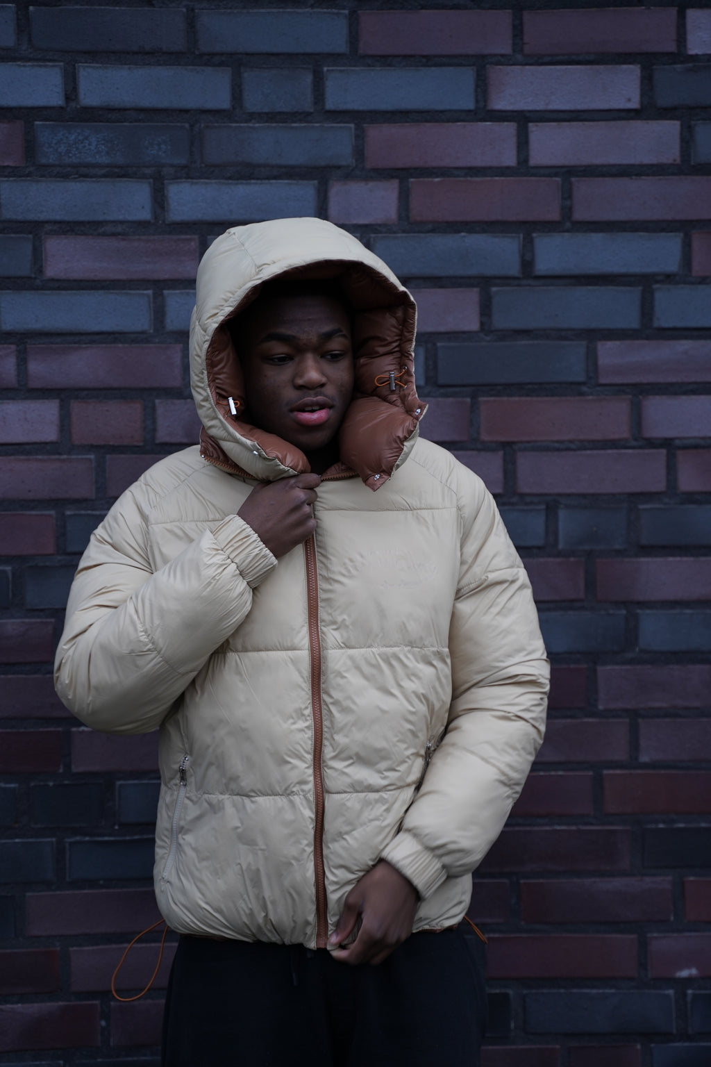 Brown-Beige Reversible Puffer Jacket